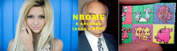 прущие грибы Вязьма