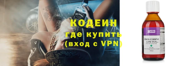 прущие грибы Вязьма