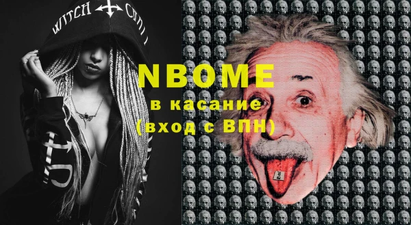 прущие грибы Вязьма