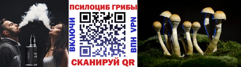 где купить наркоту  Заозёрск  Псилоцибиновые грибы Magic Shrooms 
